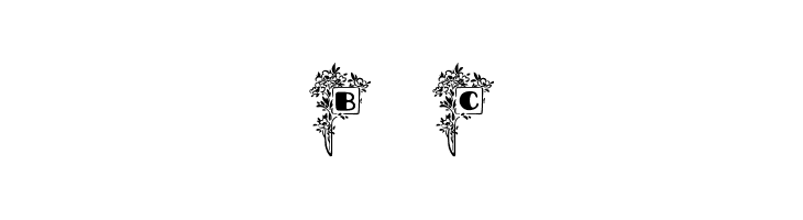 Blumenstrauss Caps Font