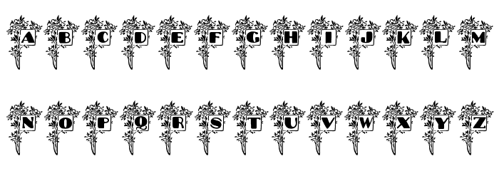 Blumenstrauss Caps Font LOWERCASE