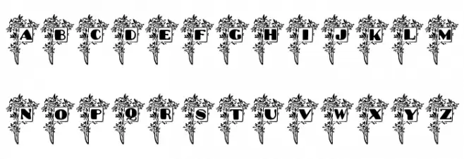 Blumenstrauss Caps خط أحرف صغيرة