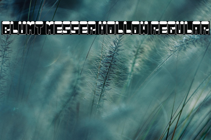 Blunt Messer Hollow Regular Example 1