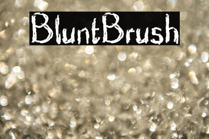 BluntBrush Example 1