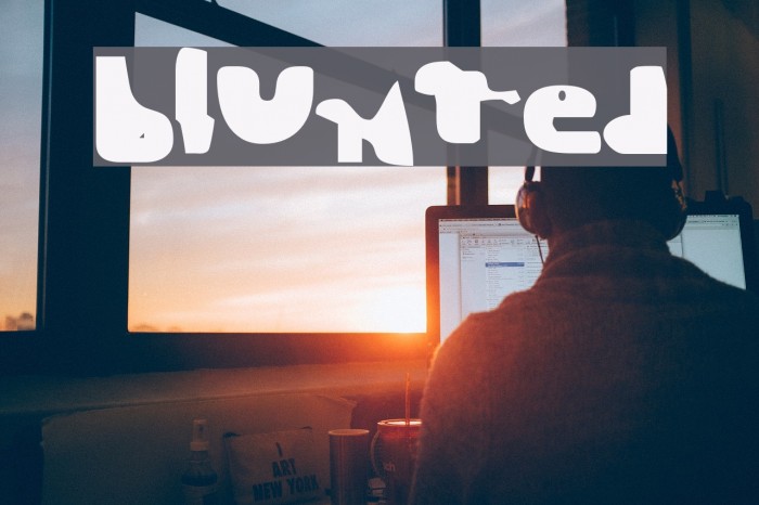 Blunted Font examples