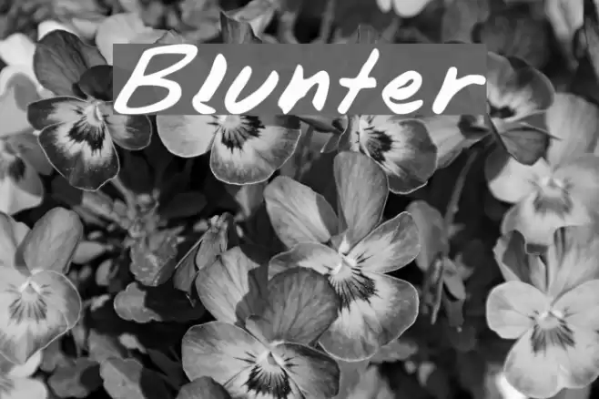 Blunter Fonte examples