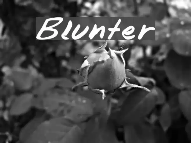Blunter Fonte examples