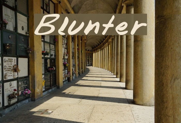 Blunter Fonte examples