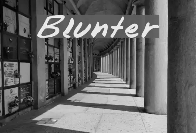 Blunter Fonte examples