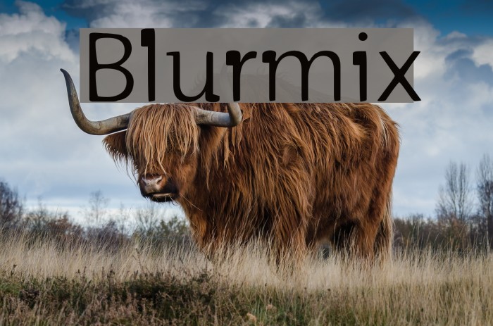 Blurmix Font examples
