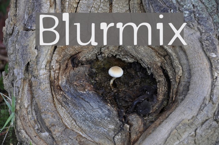 Blurmix Font examples