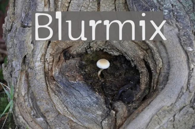Blurmix Example 3
