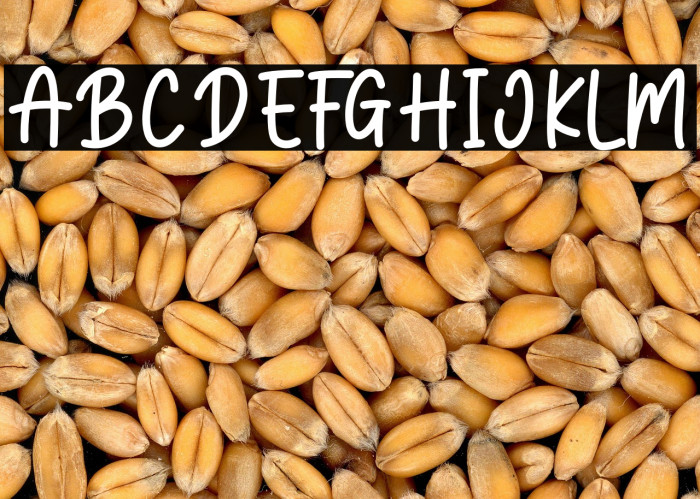 Blush And Bloom Example 3