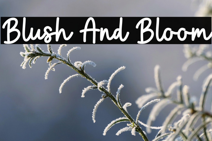 Blush And Bloom Example 1