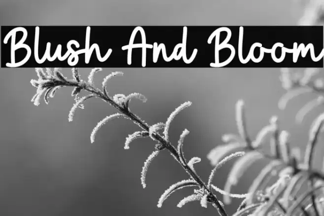 Blush And Bloom Font examples