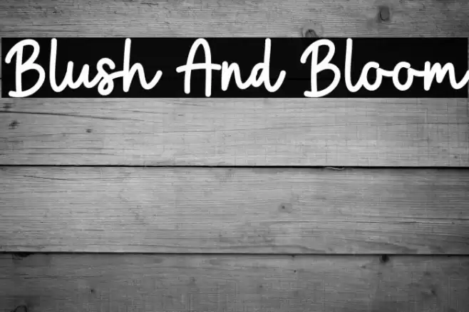Blush And Bloom Font examples