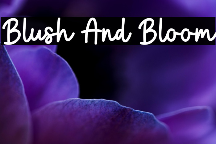 Blush And Bloom Example 3