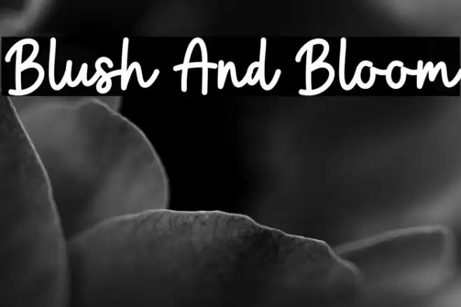Blush And Bloom Font examples