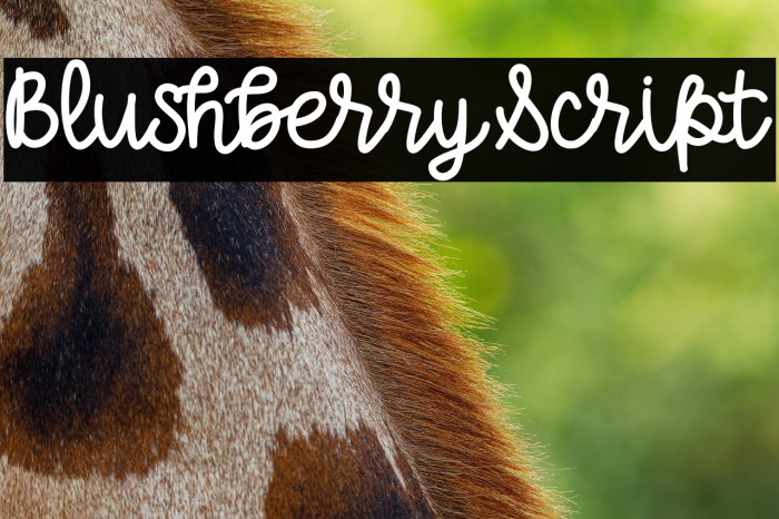 BlushberryScript Example 1