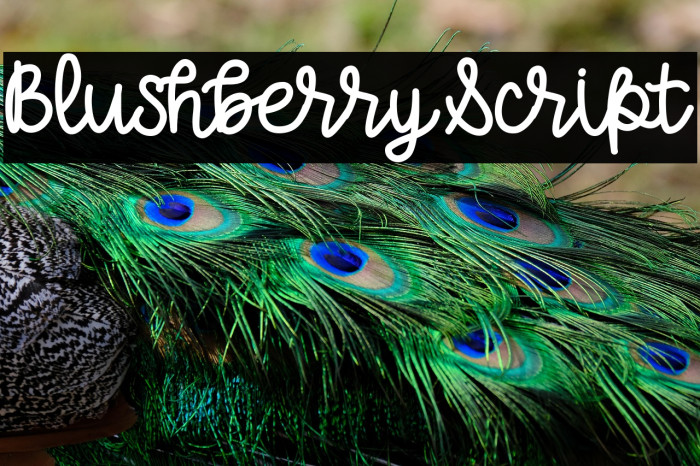 BlushberryScript Example 3