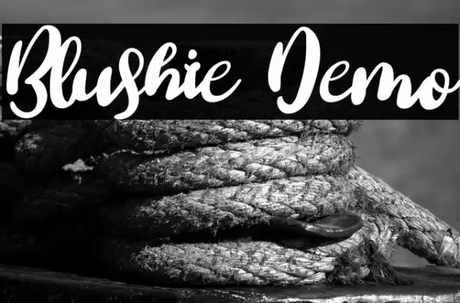 Blushie Demo Font examples