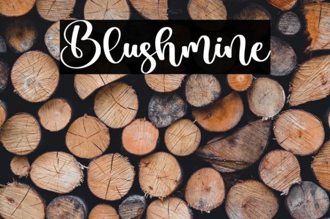 Blushmine Example 1