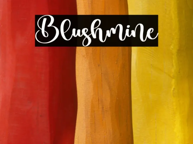 Blushmine Example 2