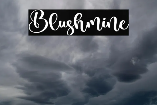 Blushmine Example 3