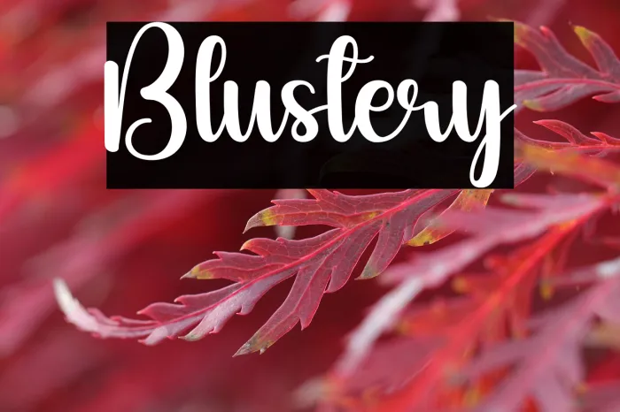 Blustery Example 2