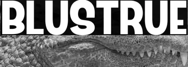 Blustrue Font examples