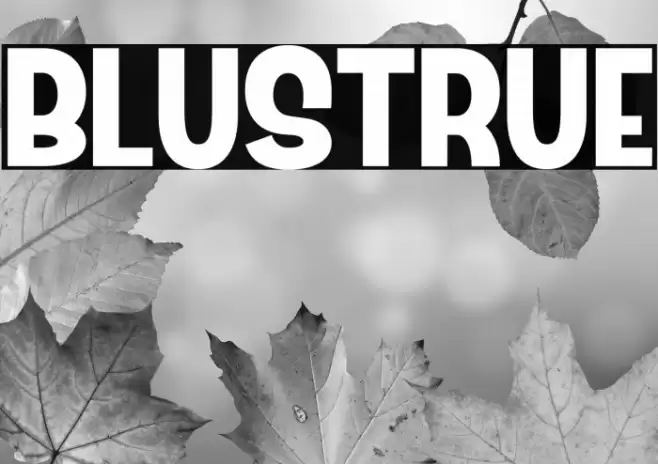 Blustrue Font examples