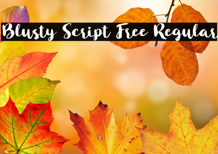 Blusty Script Free Regular Example 1