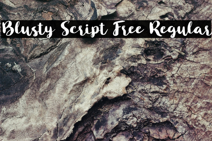 Blusty Script Free Regular Example 2
