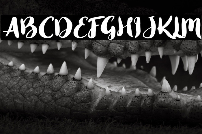 BlustyScriptFree-Regular Example 3