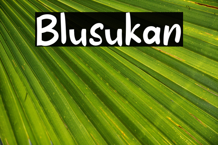 Blusukan Example 1