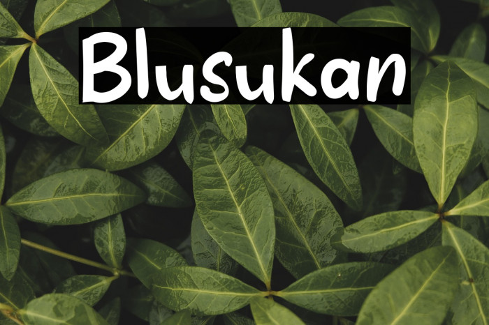 Blusukan Example 2