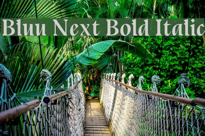 Bluu Next Bold Italic Font examples