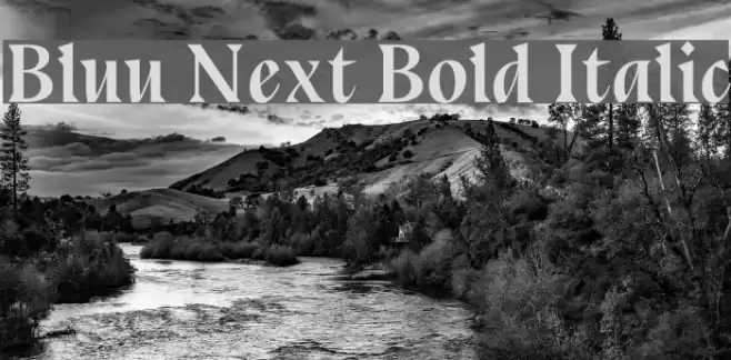 Bluu Next Bold Italic Font examples