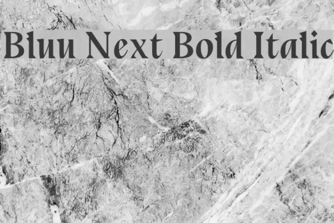 Bluu Next Bold Italic Font examples