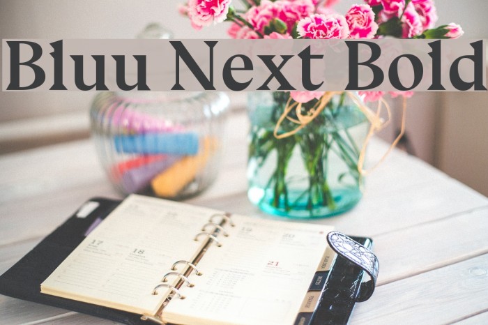 Bluu Next Bold Font examples
