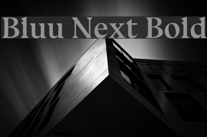 Bluu Next Bold Font examples