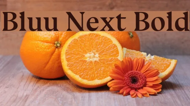 Bluu Next Bold Example 3