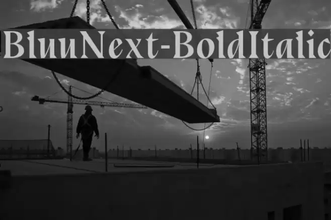 BluuNext-BoldItalic Font examples