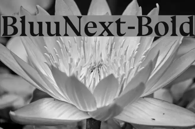 BluuNext-Bold Font examples