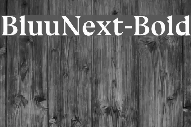 BluuNext-Bold Font examples