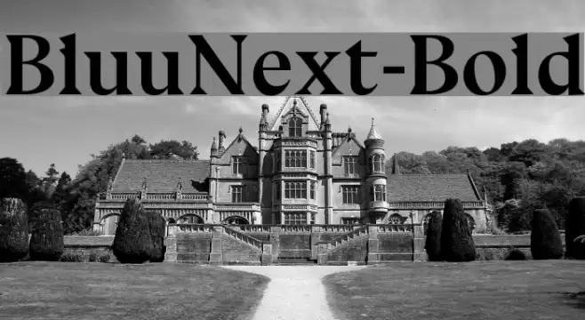 BluuNext-Bold Font examples