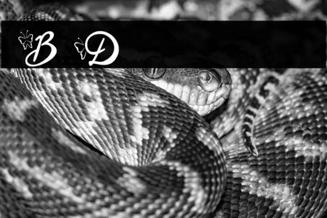 Blysher Demo Font examples