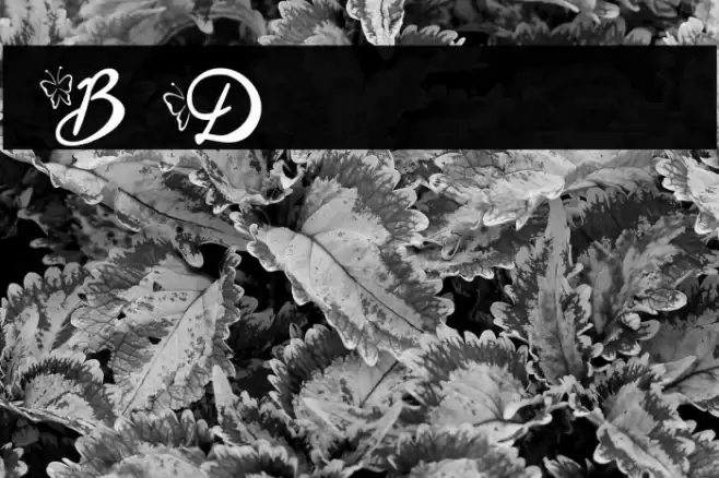 Blysher Demo Font examples