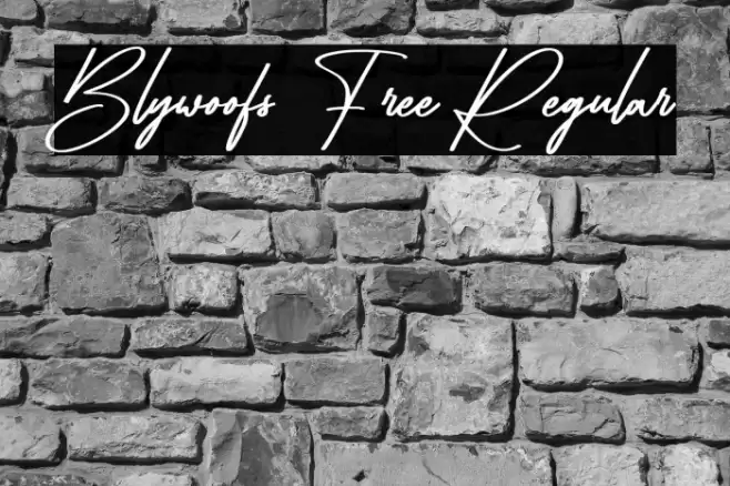 Blywoofs Free Regular Polices examples