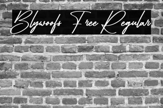 Blywoofs Free Regular Polices examples