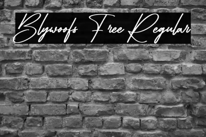 Blywoofs Free Regular Polices examples