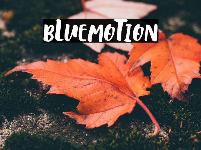 bLuemoTion Font examples