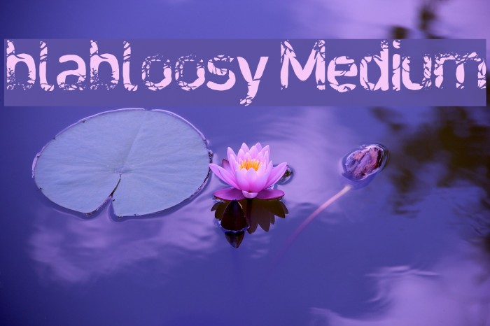 blabloosy Medium Font examples